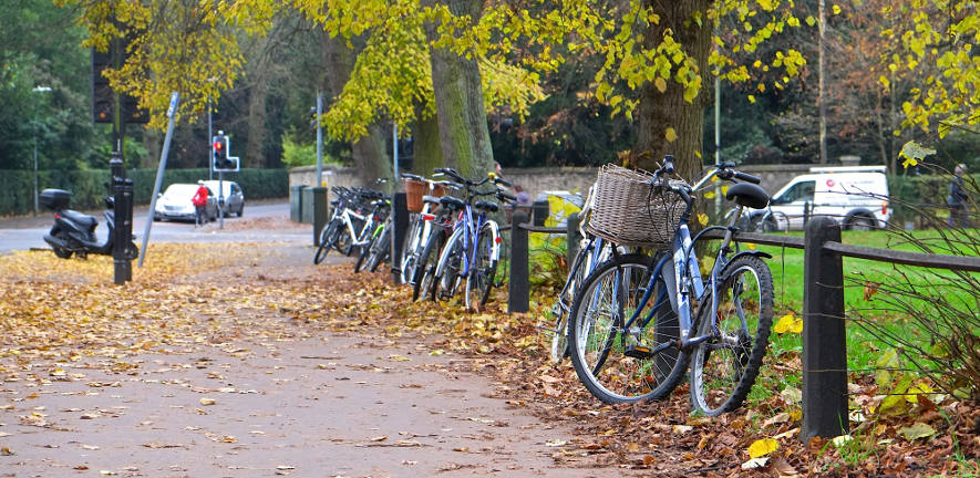 Autumn in Cambridge.jpg