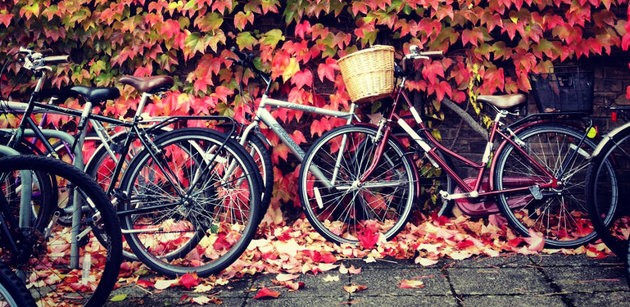 Autumn in Cambridge bikes